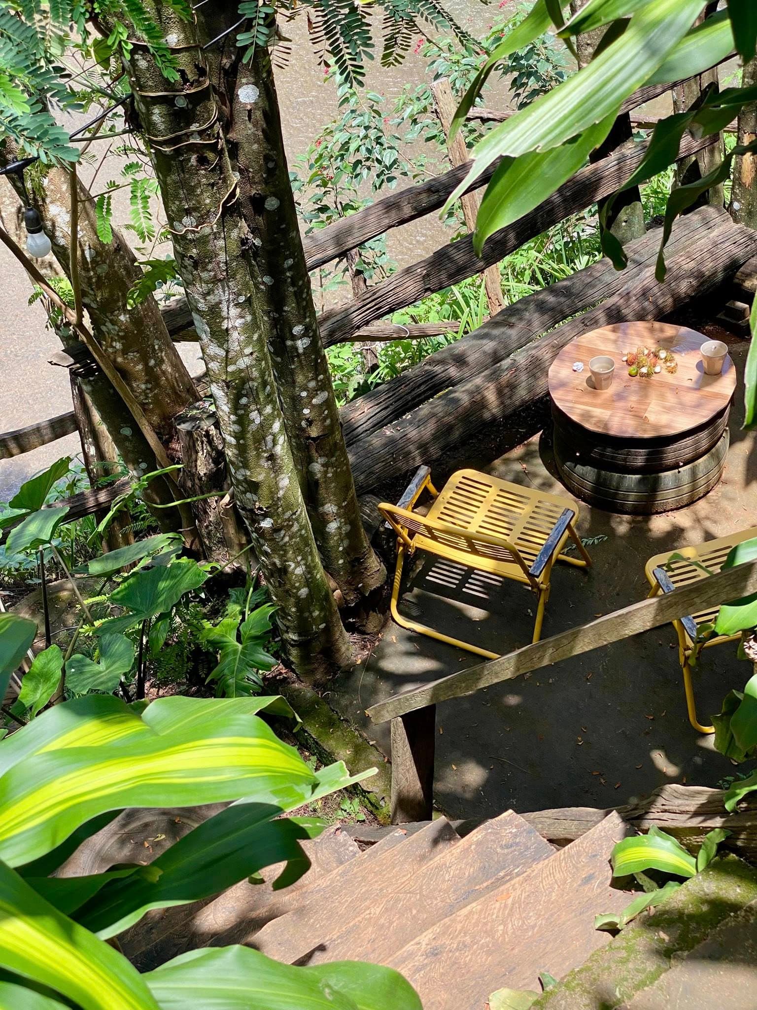 Góc Thưởng Trà Dưới Gốc Cây Ven Suối